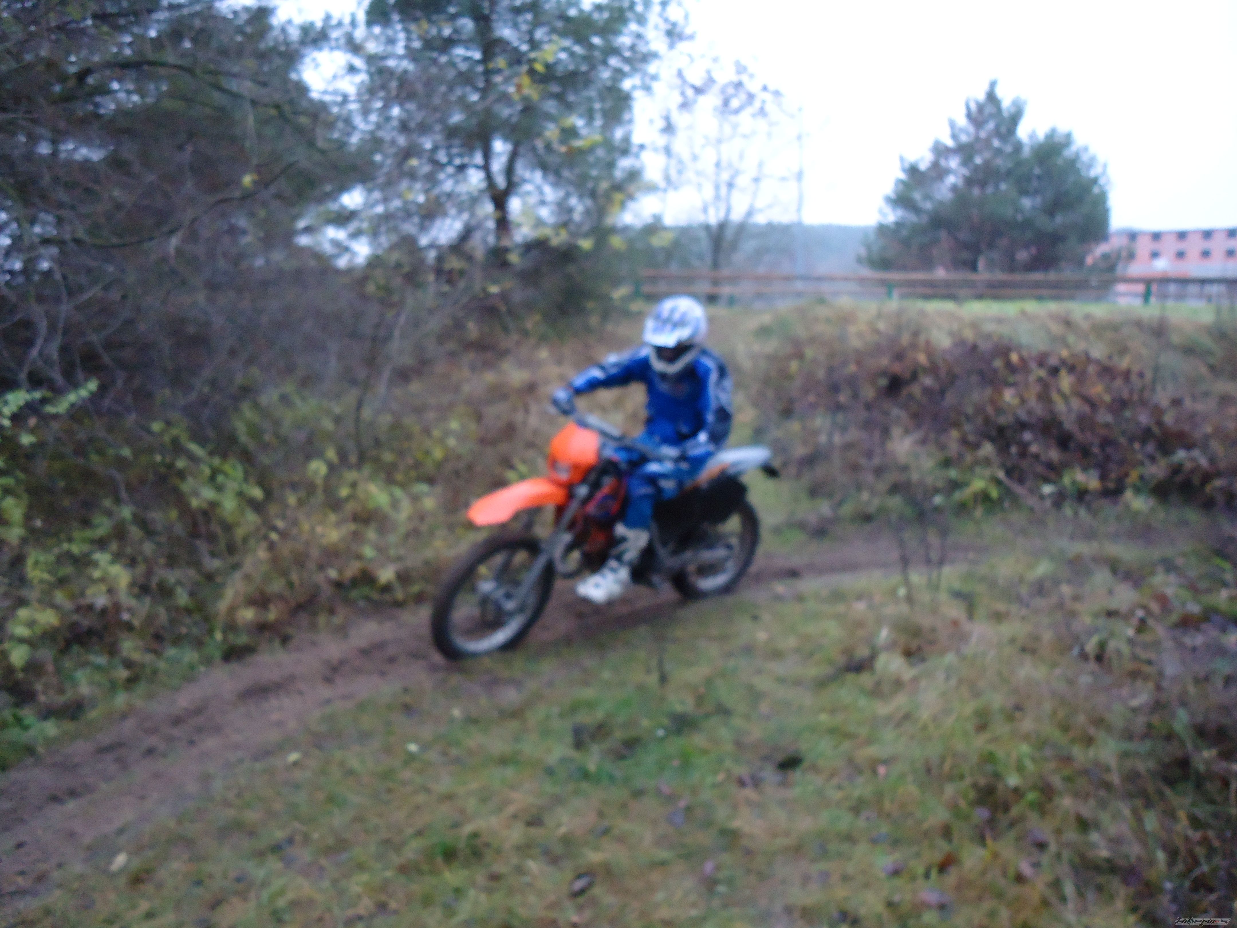 Photo 2304290