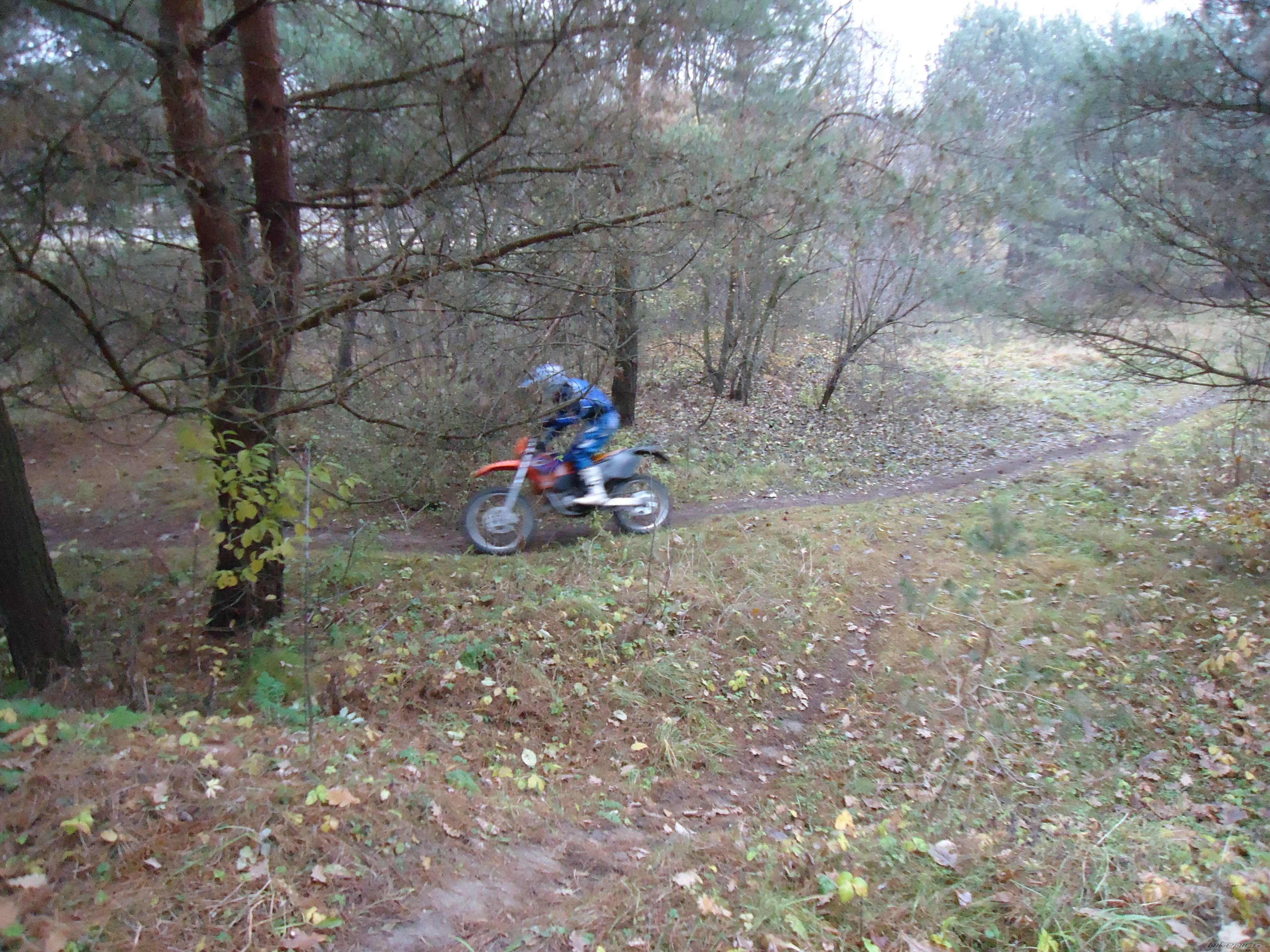 Photo 2304292
