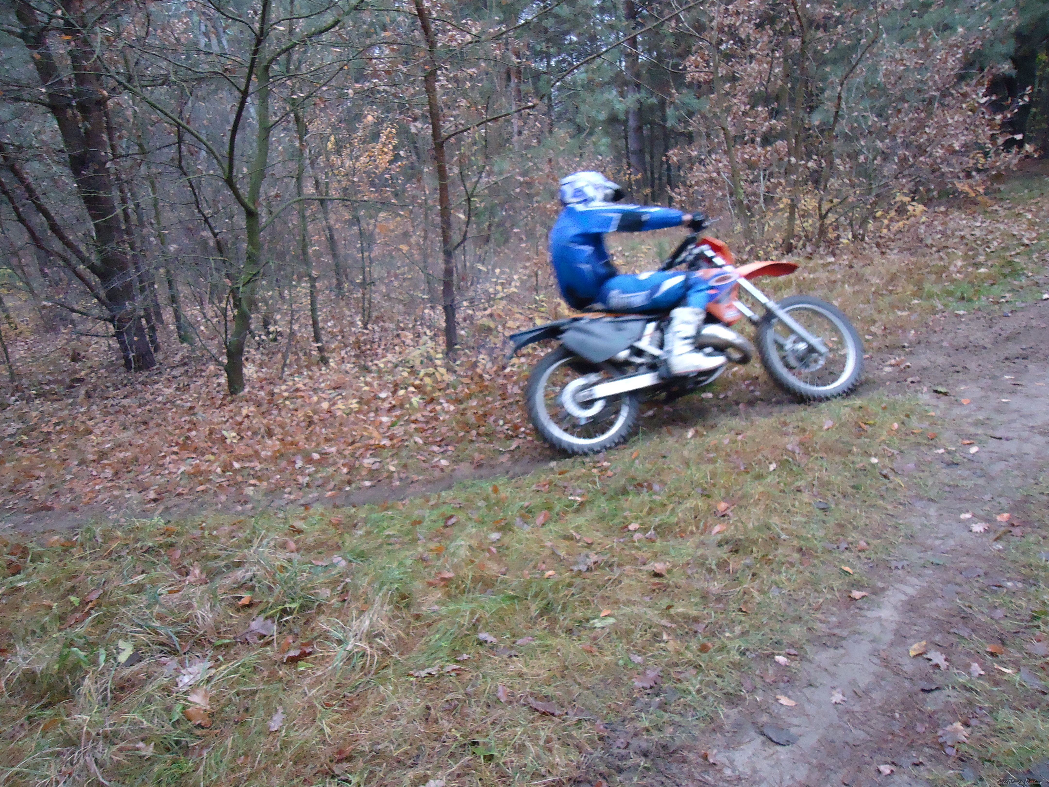 Photo 2304296
