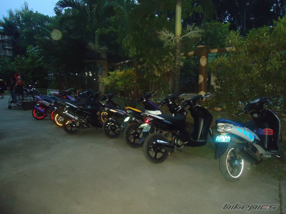 Photo 2304333