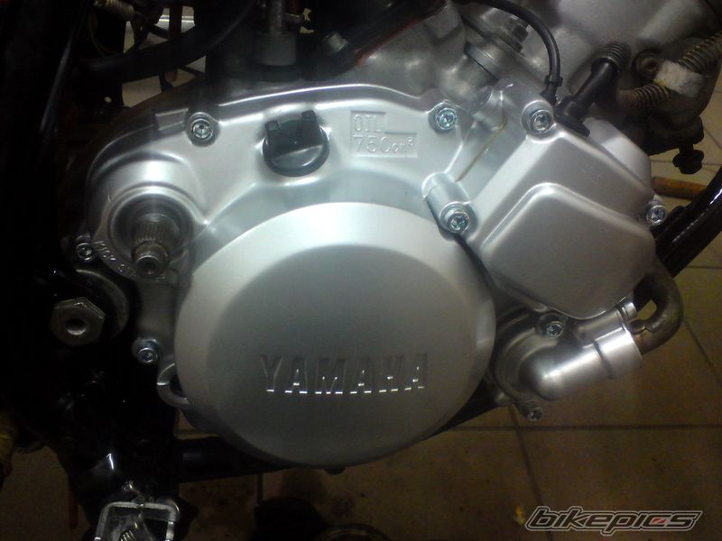 Photo 2304375