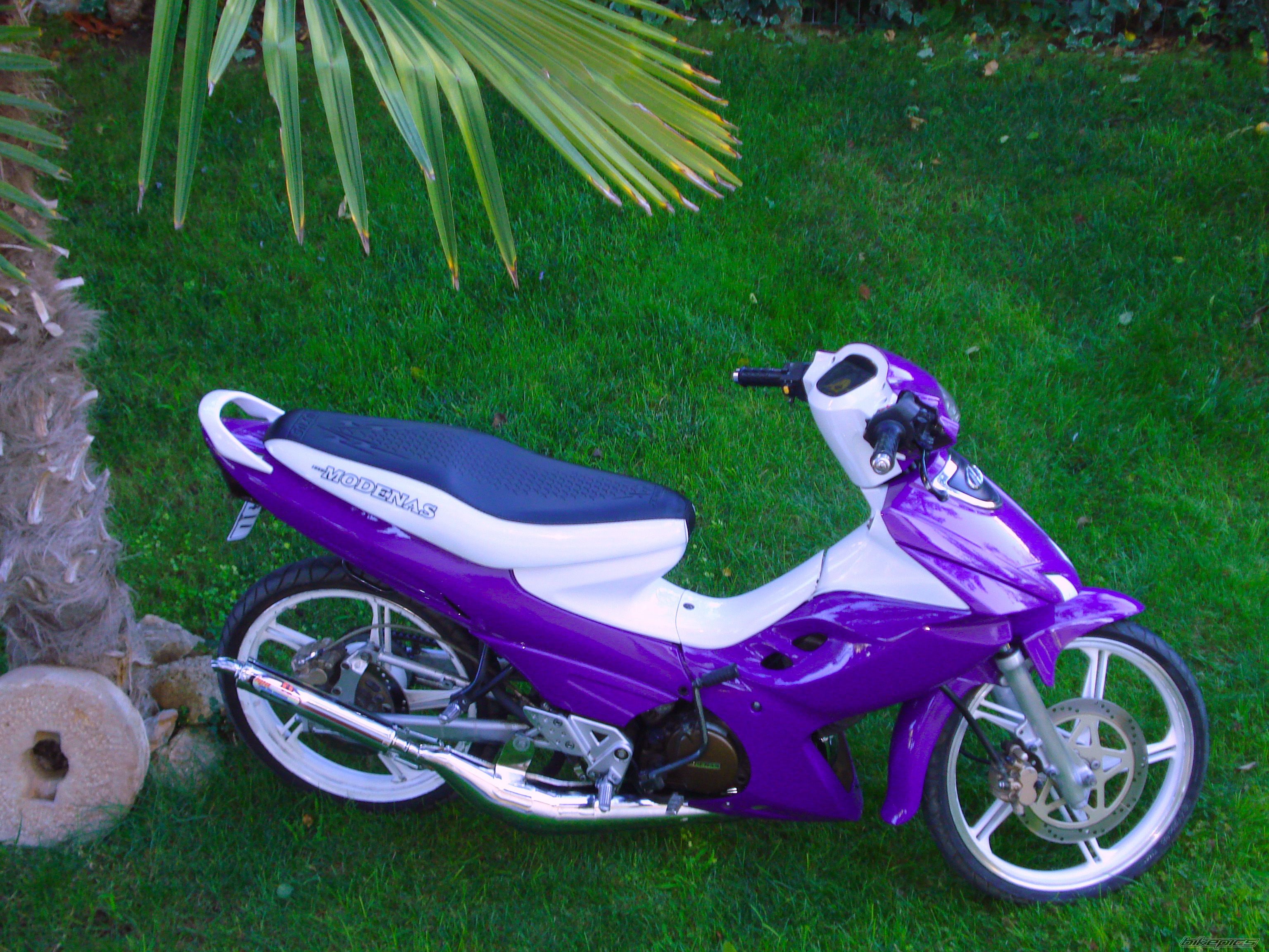 Photo 2304381