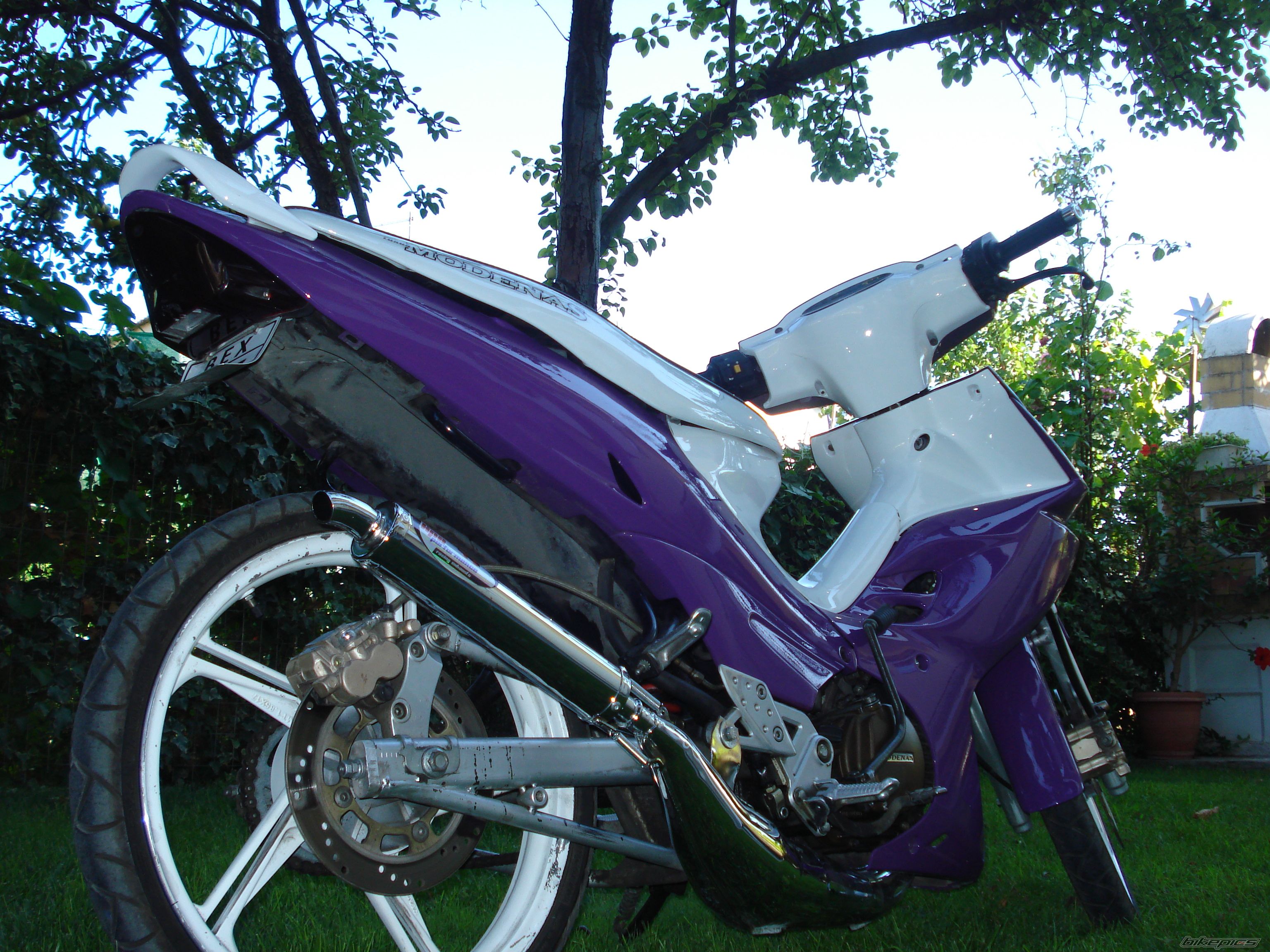 Photo 2304383