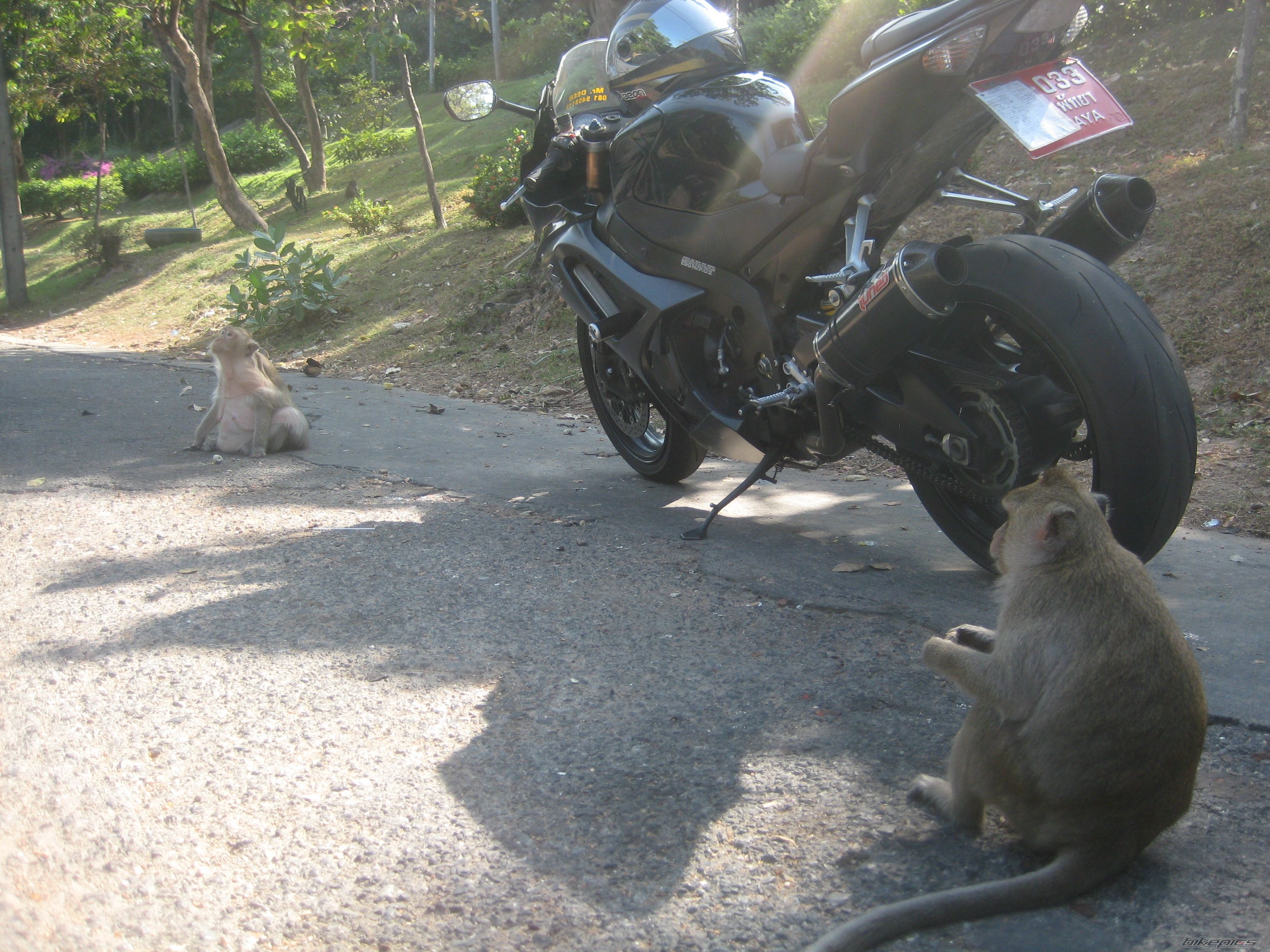 Photo 2304394