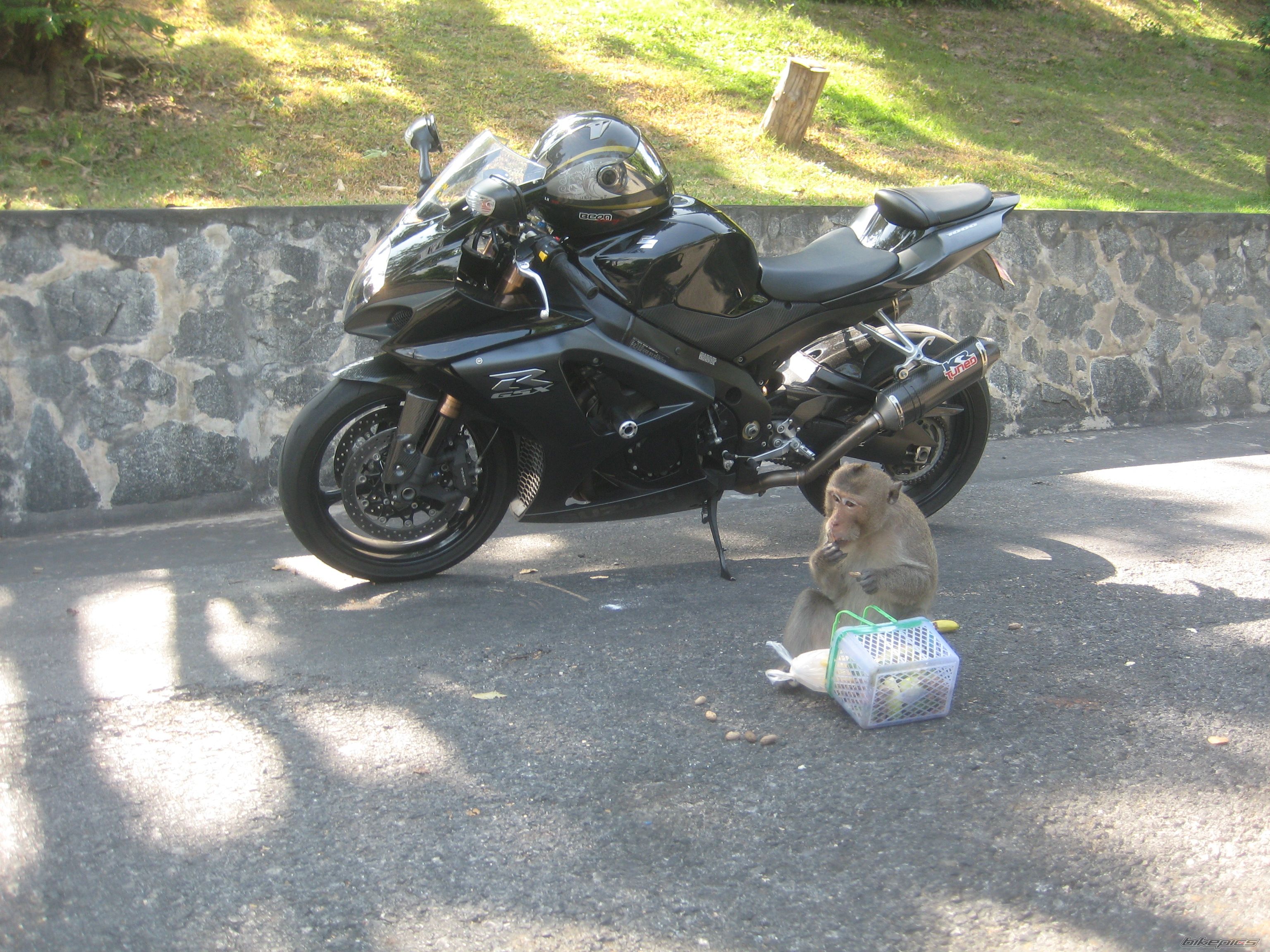 Photo 2304395