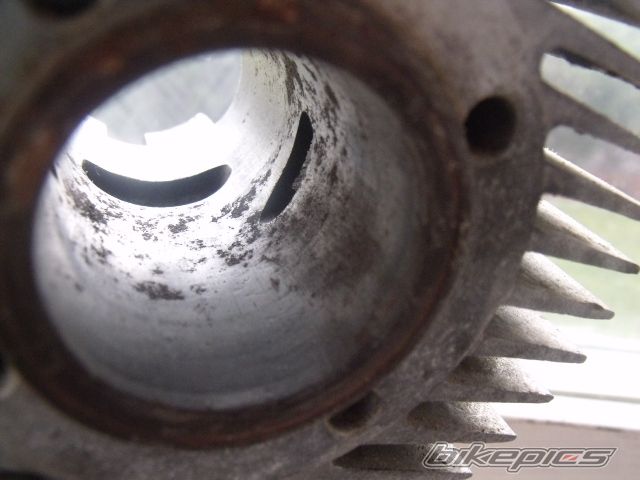 Photo 2304506