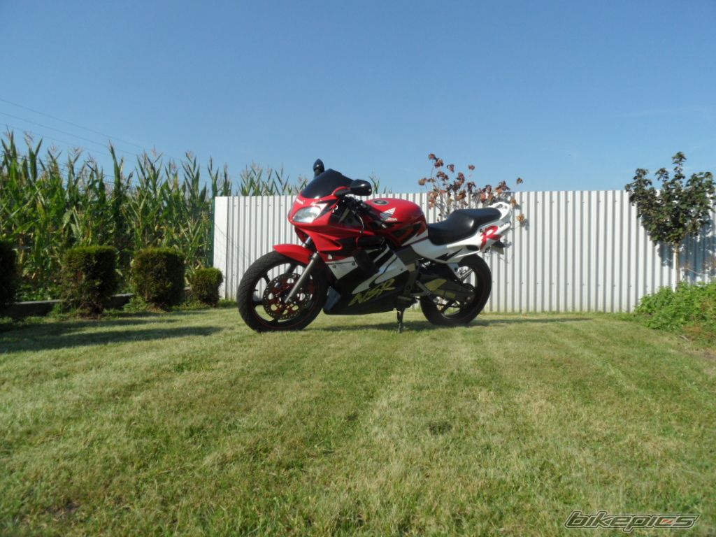 Photo 2304560