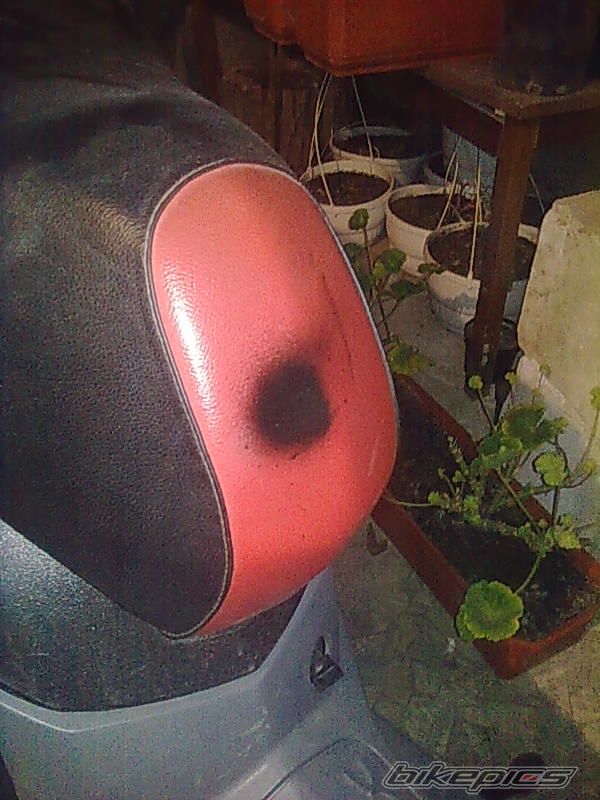 Photo 2304634