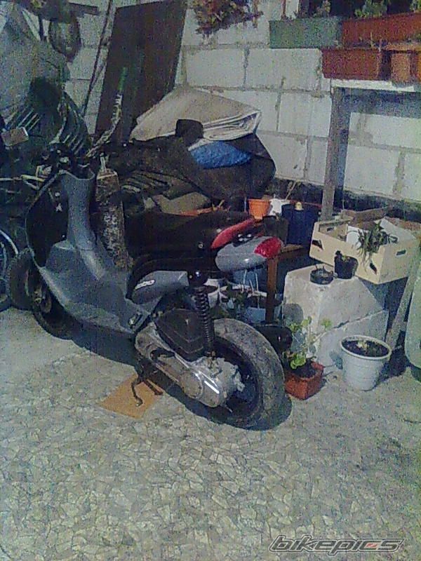 Photo 2304639
