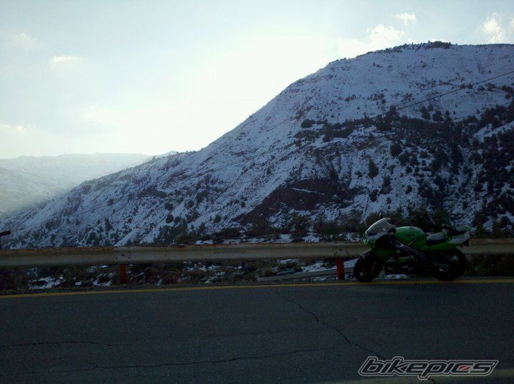 Photo 2304663