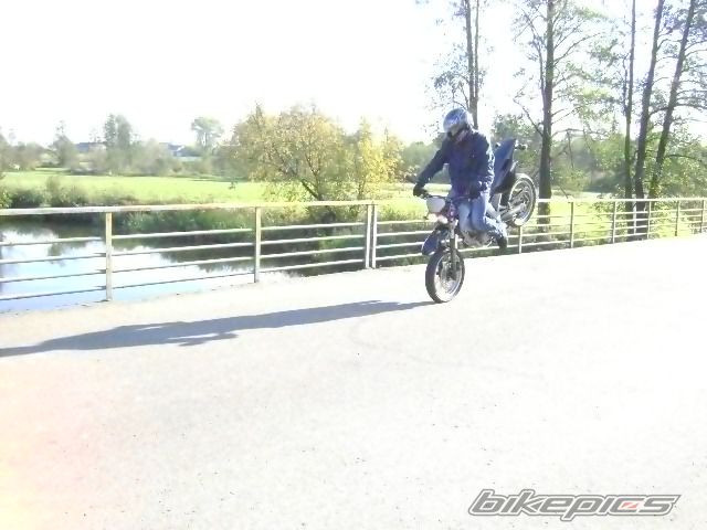 Photo 2304761