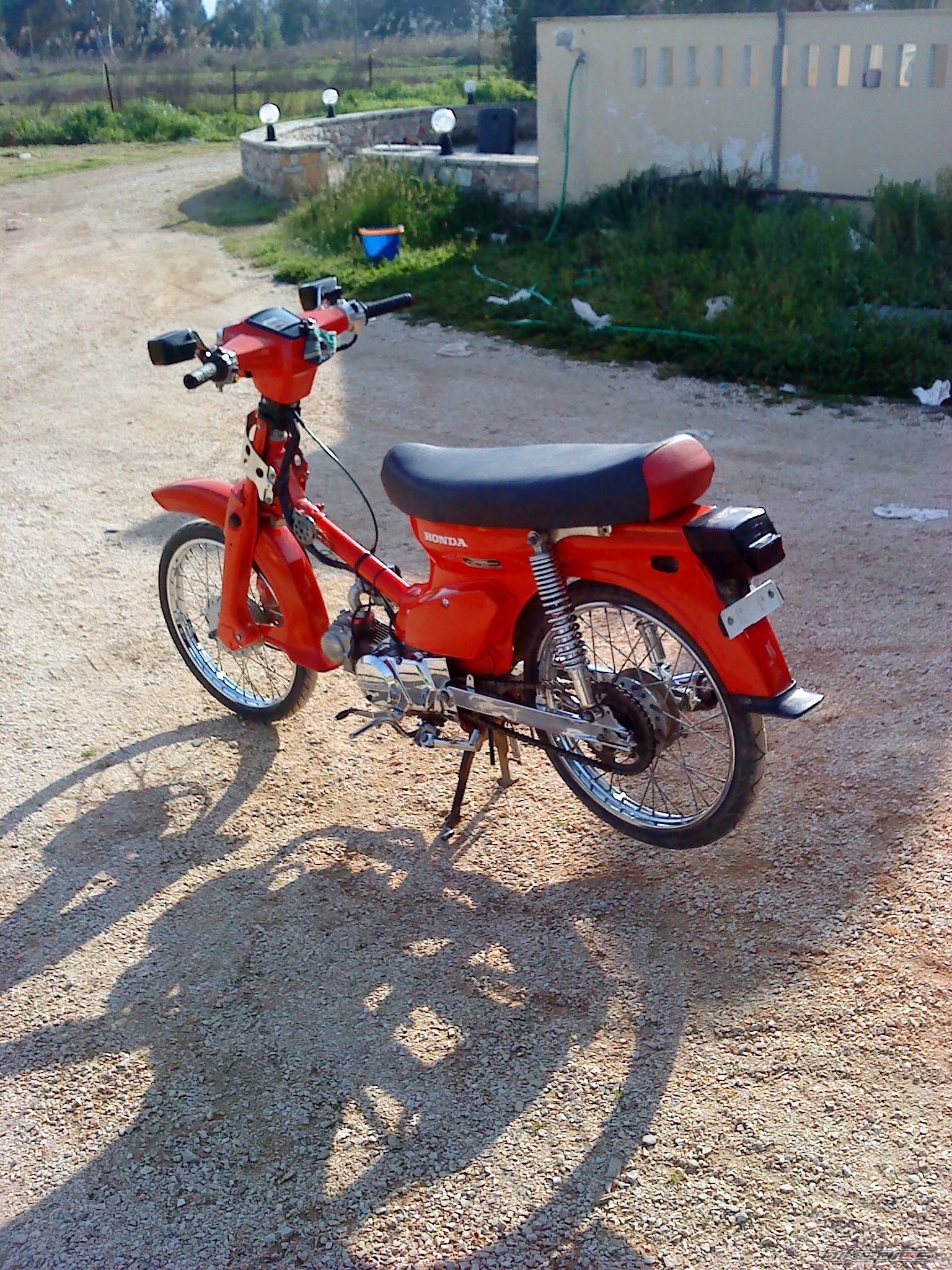 Photo 2304769