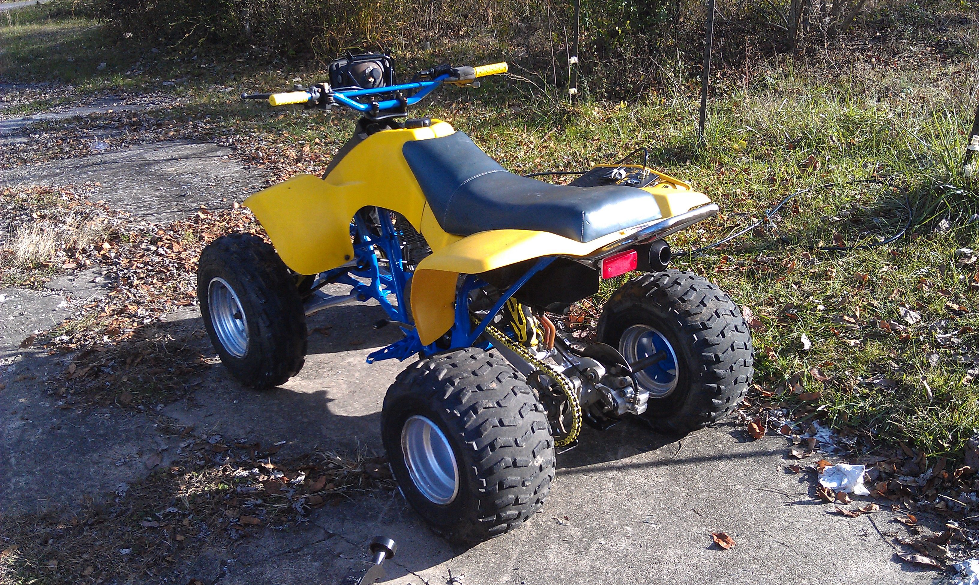 Photo 2304851