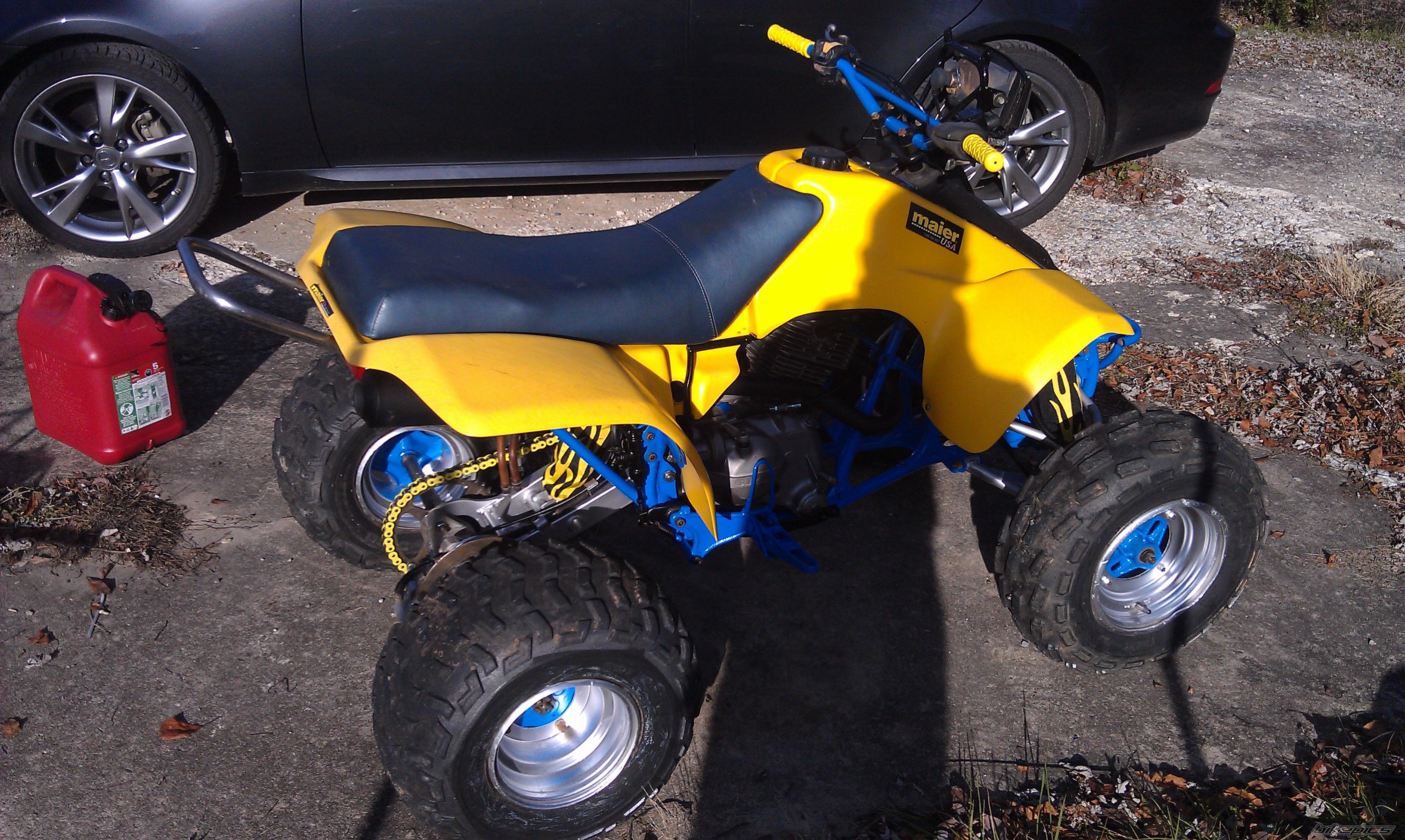 Photo 2304852