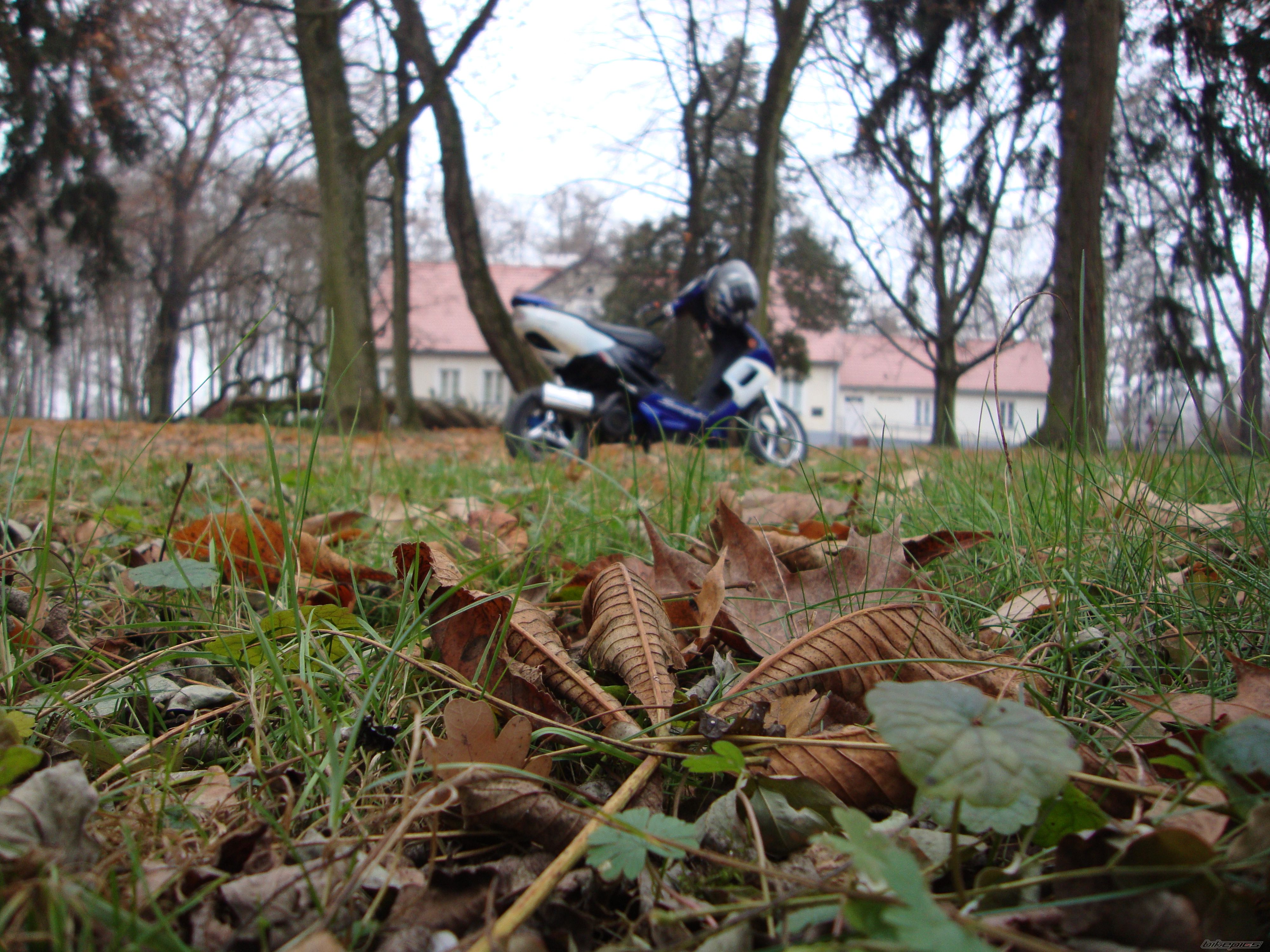 Photo 2304874