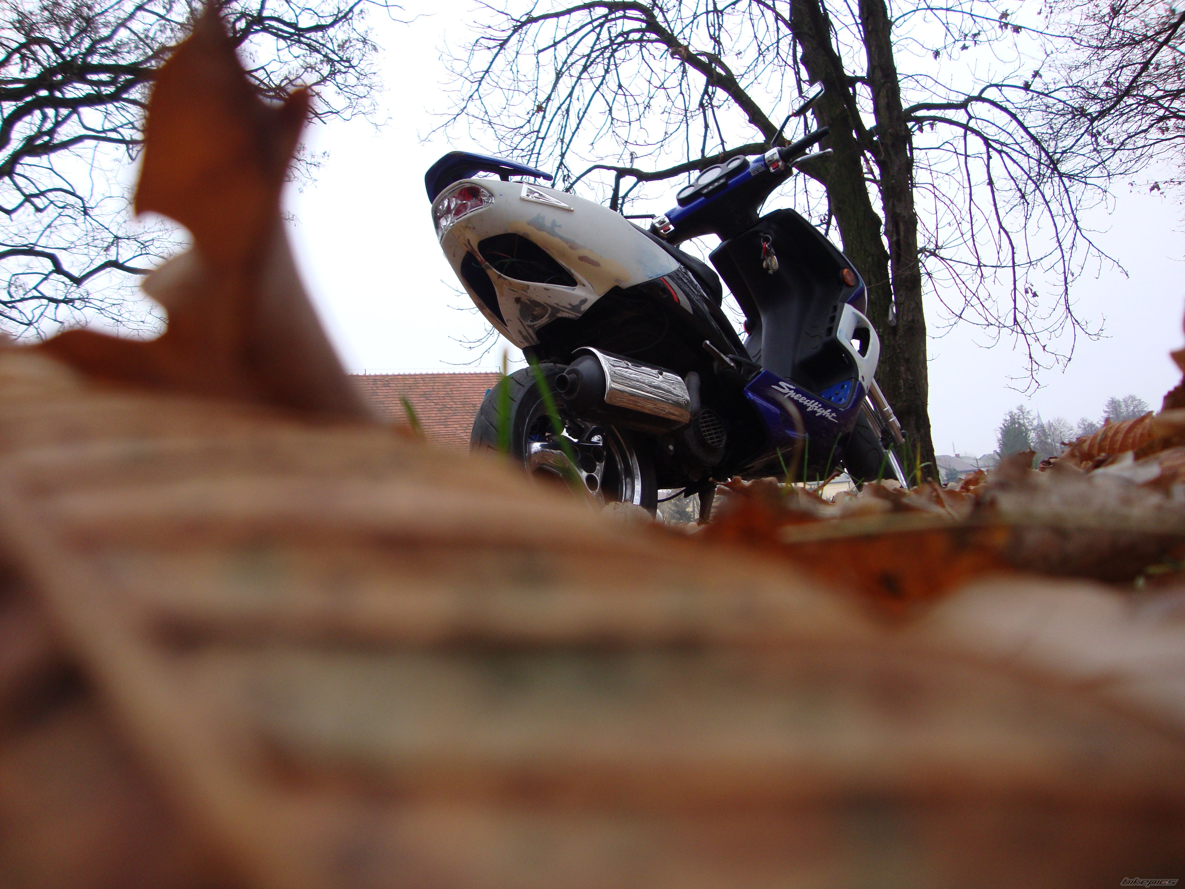 Photo 2304889