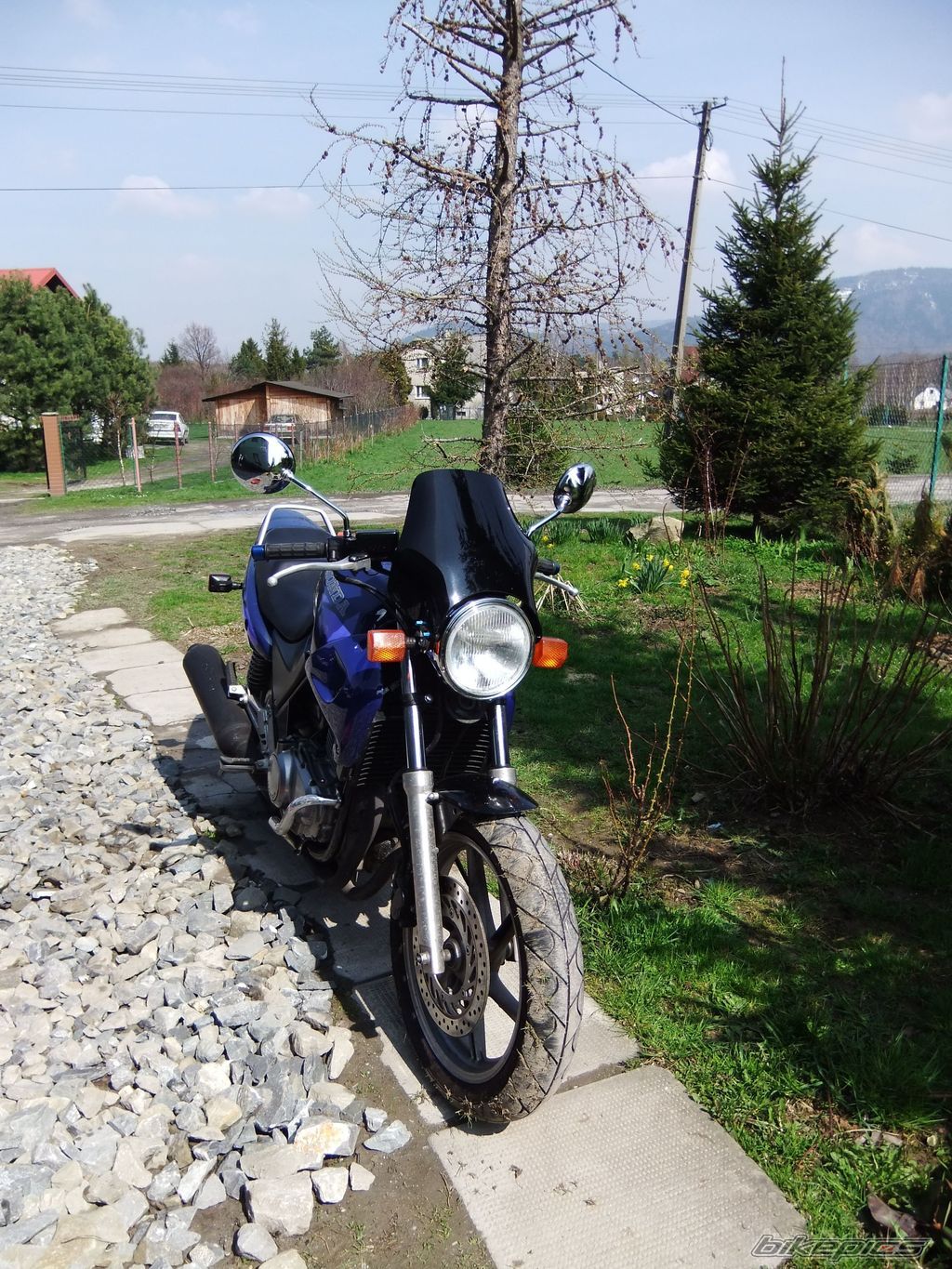 Photo 2304902