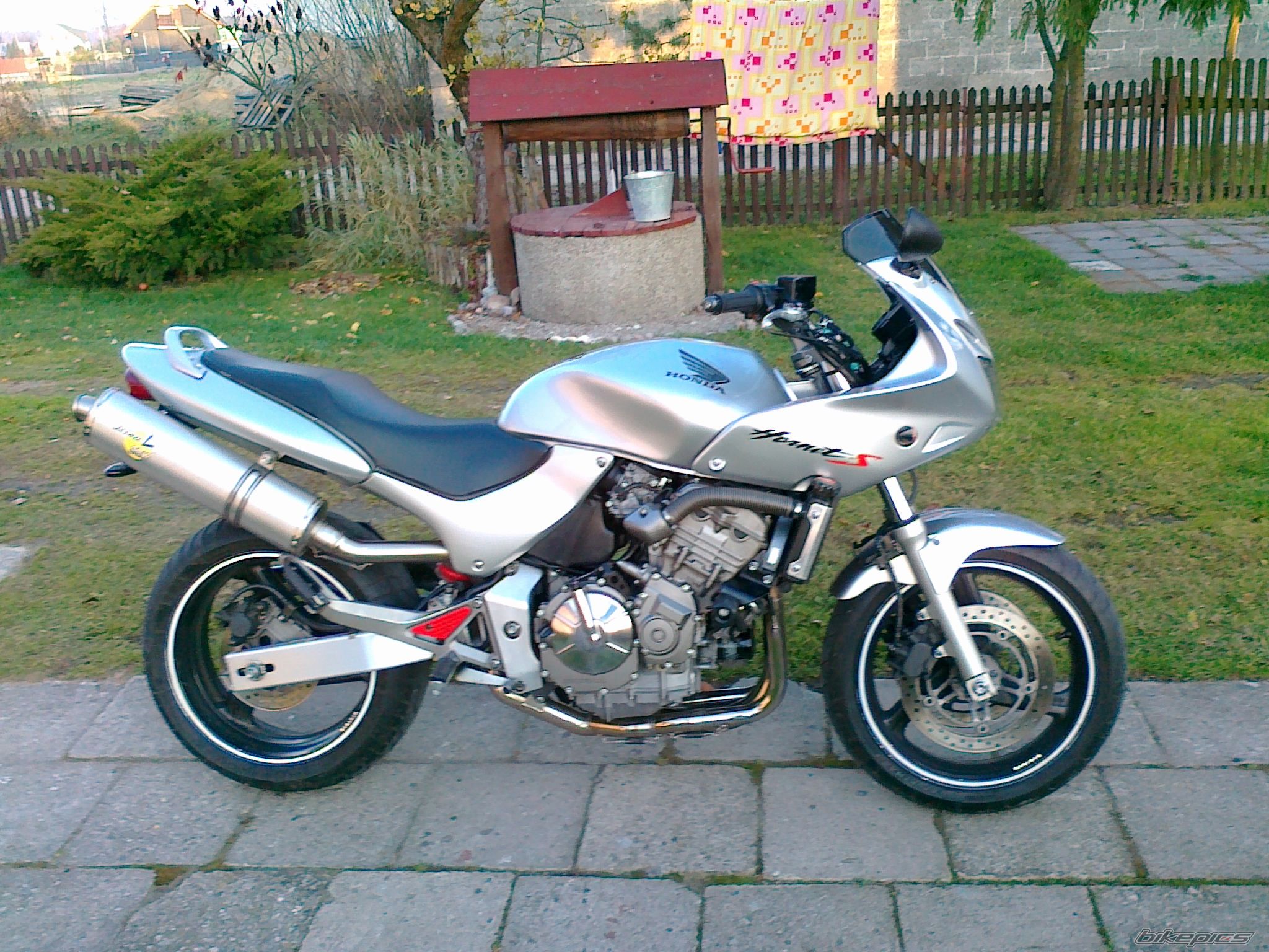 Photo 2304923