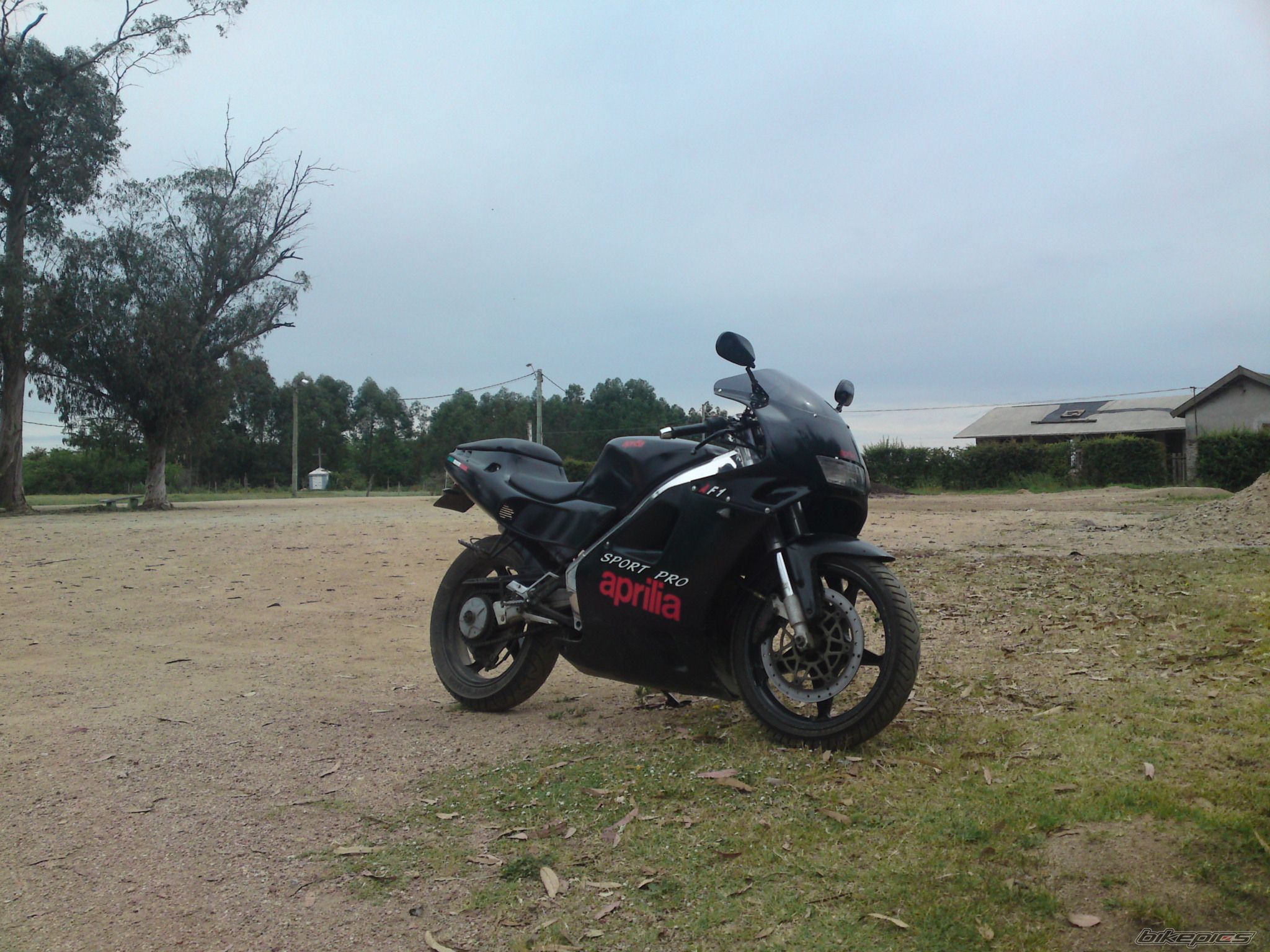 Photo 2304965