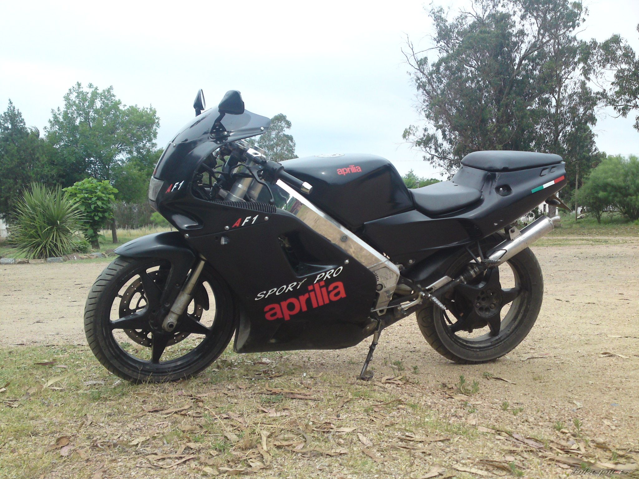Photo 2304969
