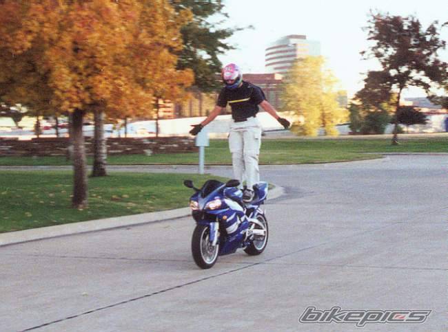 Photo 2305
