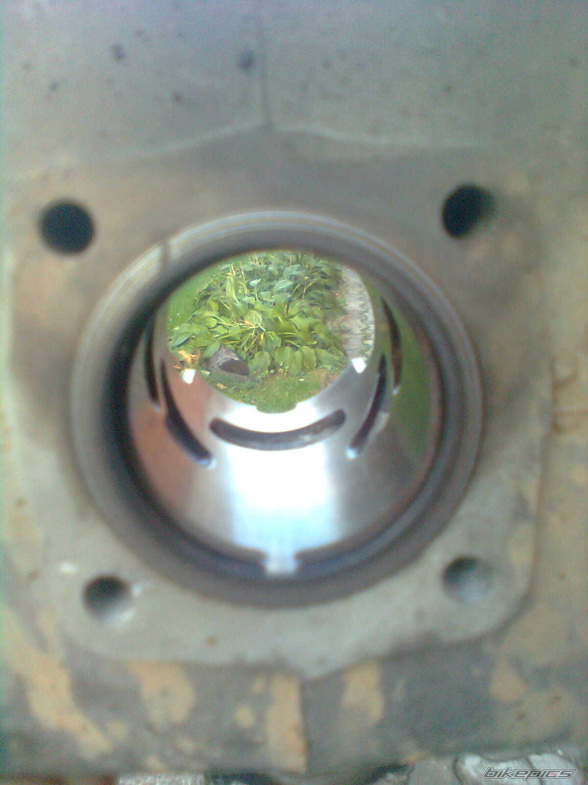 Photo 2305077