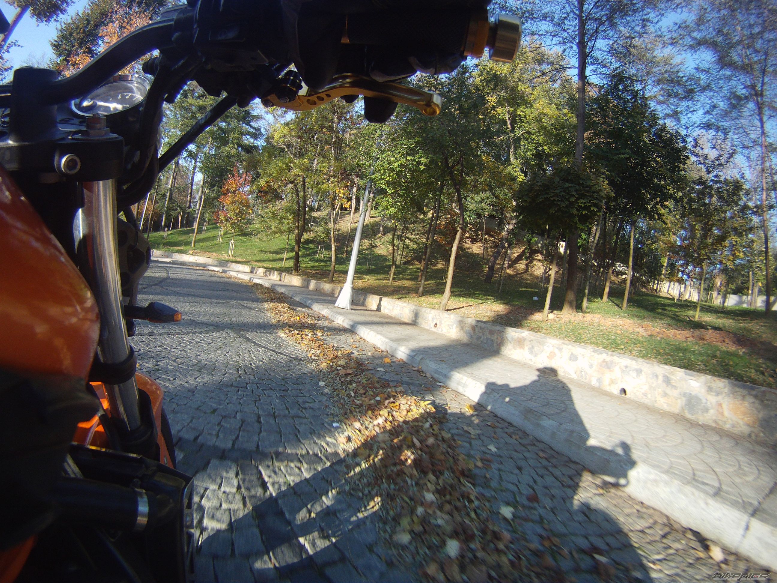 Photo 2305113