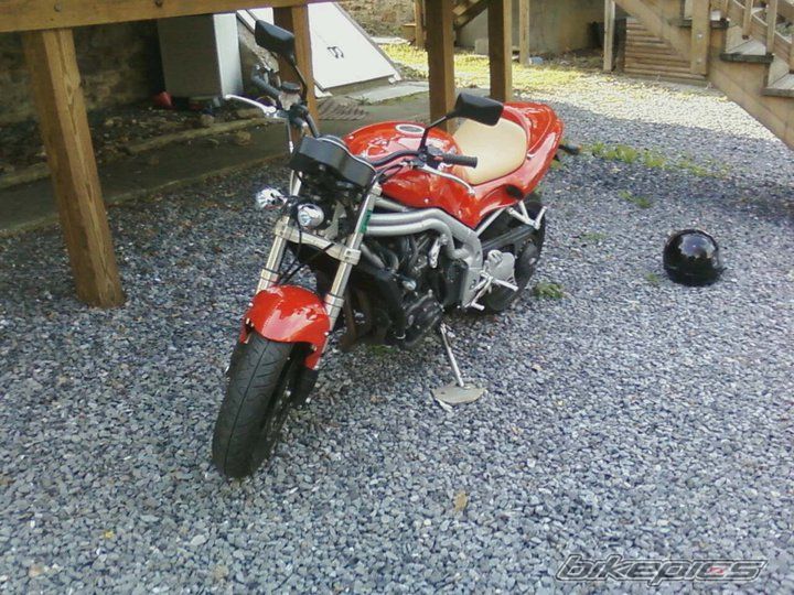 Photo 2305208