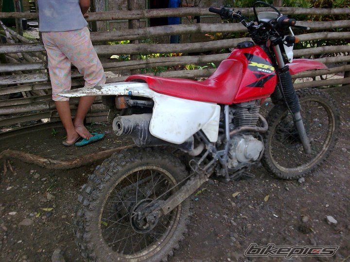 Photo 2305220