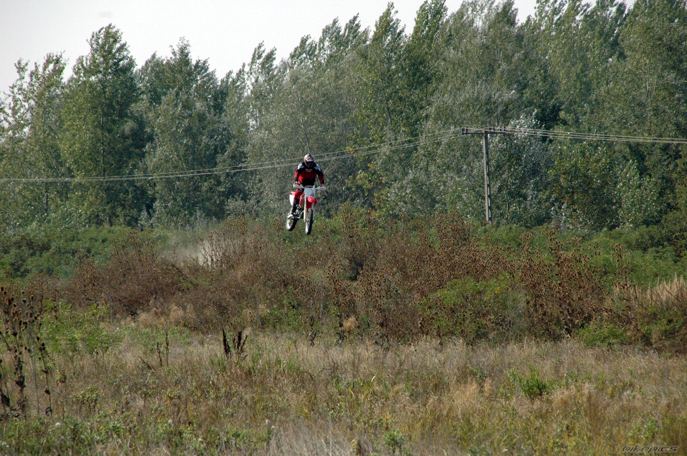 Photo 2305305