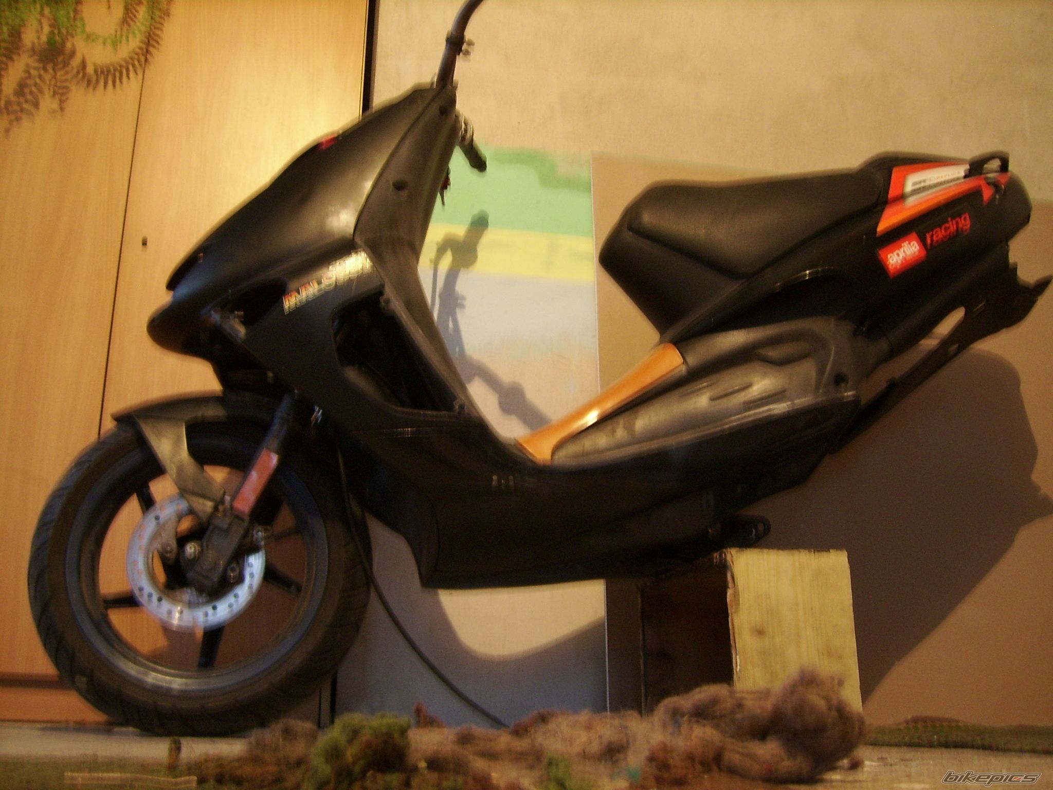 Photo 2305398