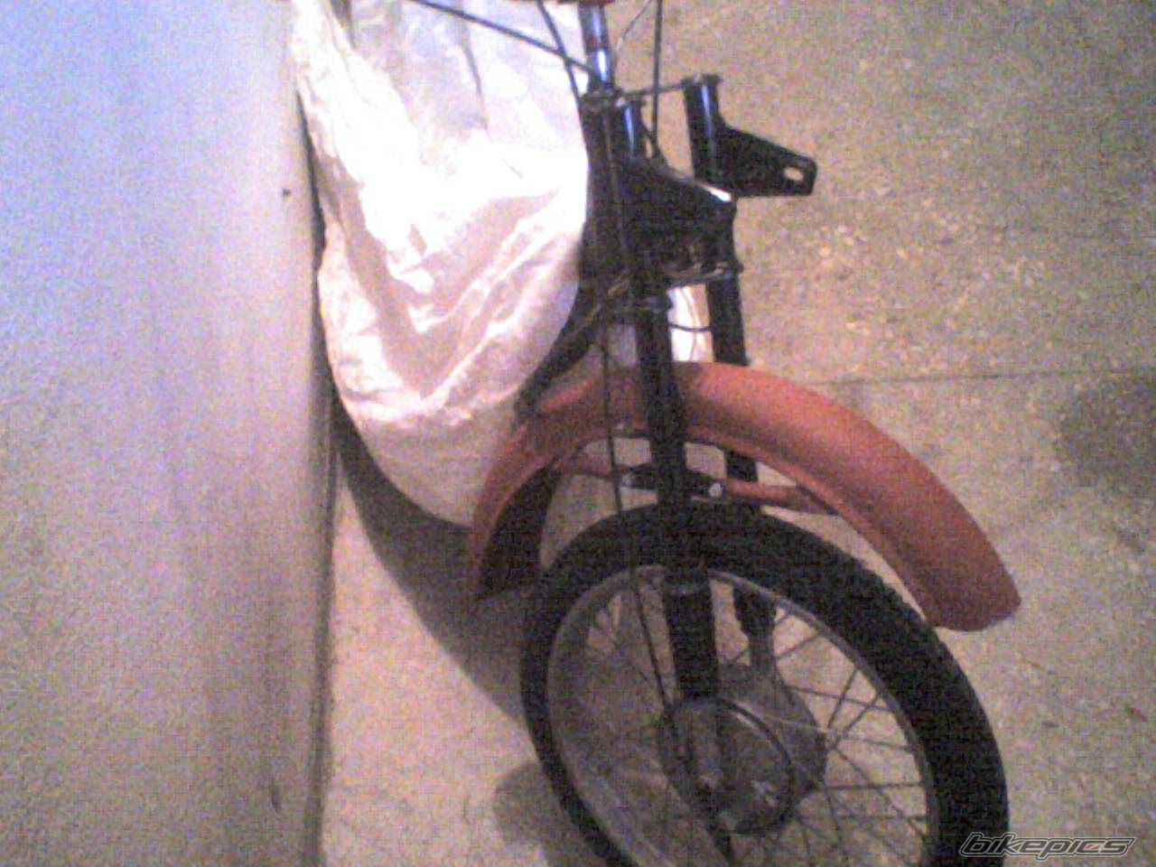 Photo 2305561