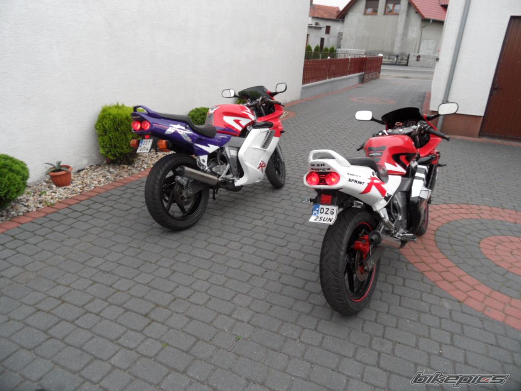 Photo 2305583