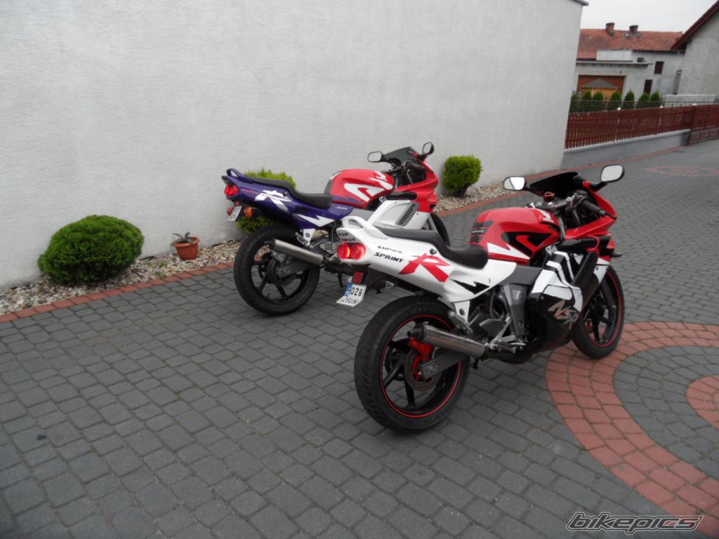 Photo 2305584