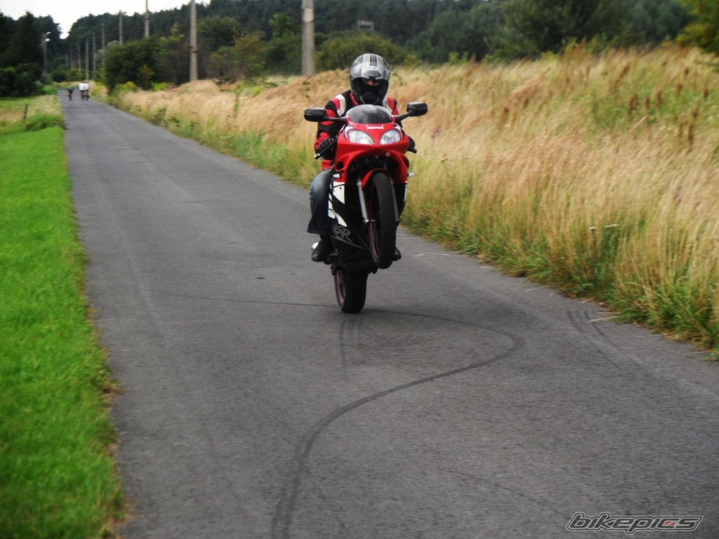Photo 2305586