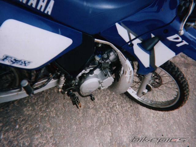 Photo 230565