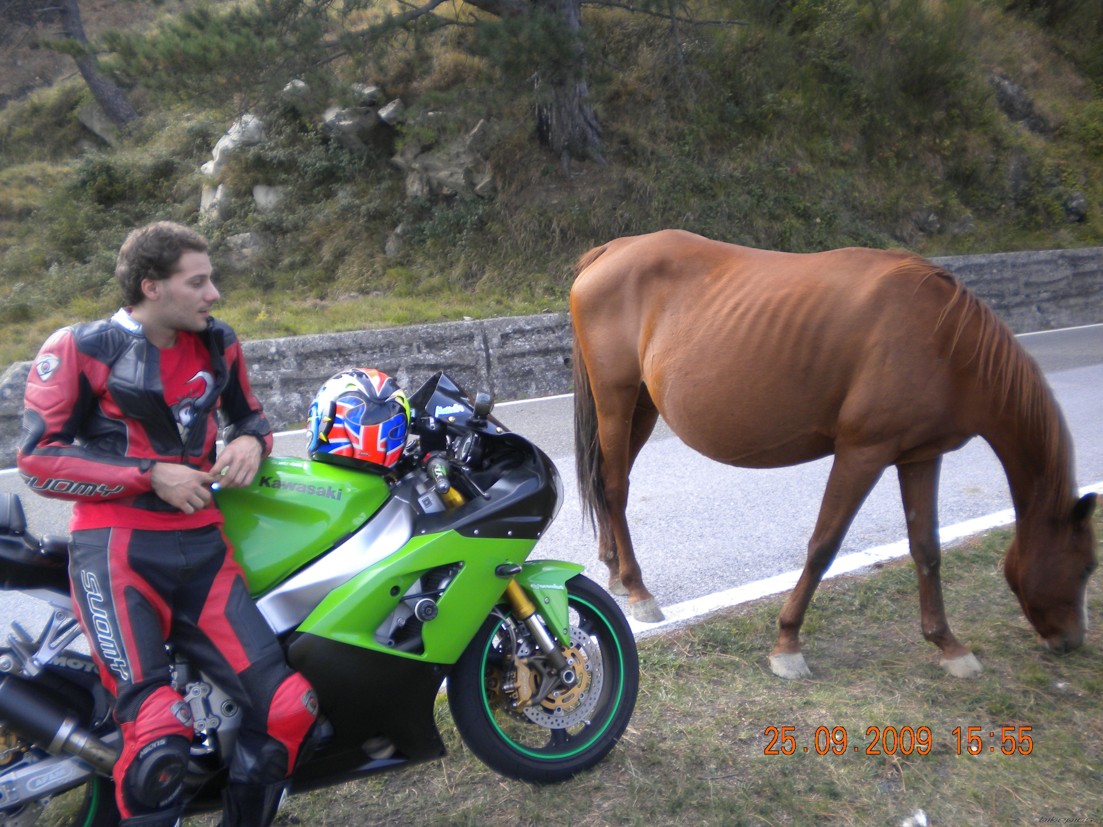Photo 2305799