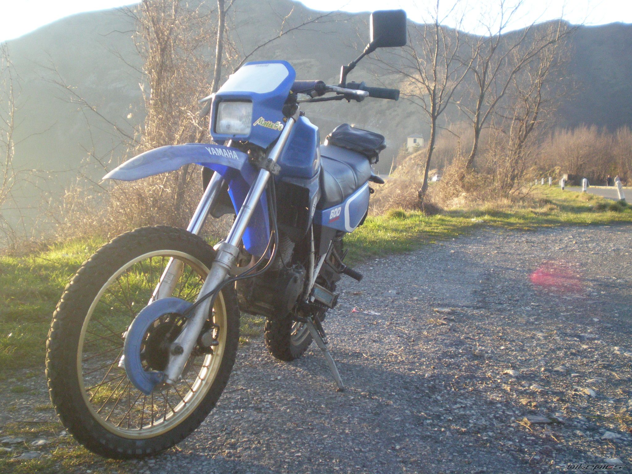 Photo 2305811
