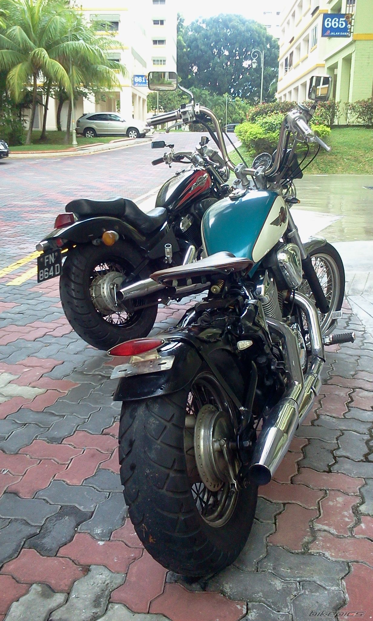 Photo 2305858