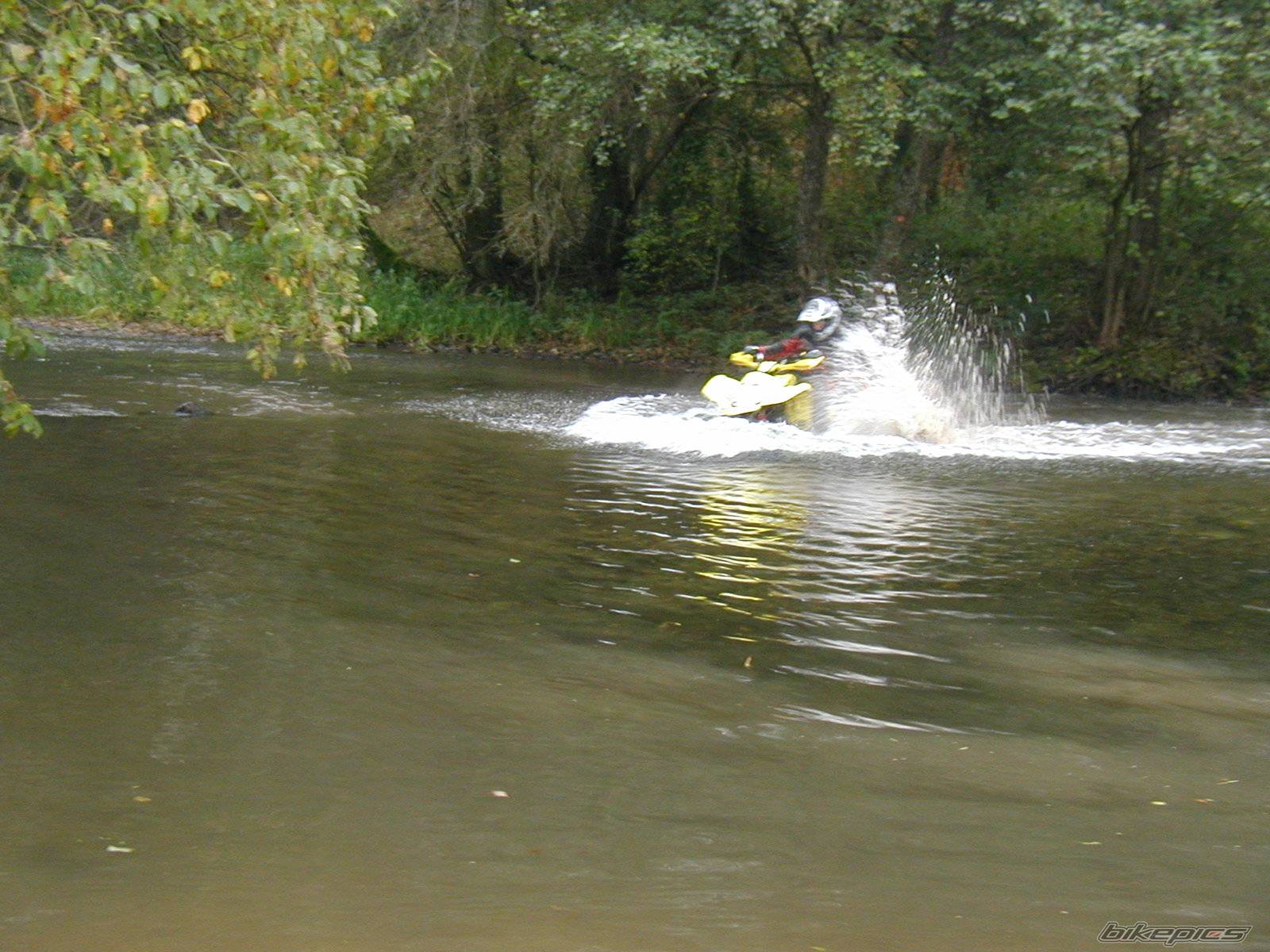 Photo 230592