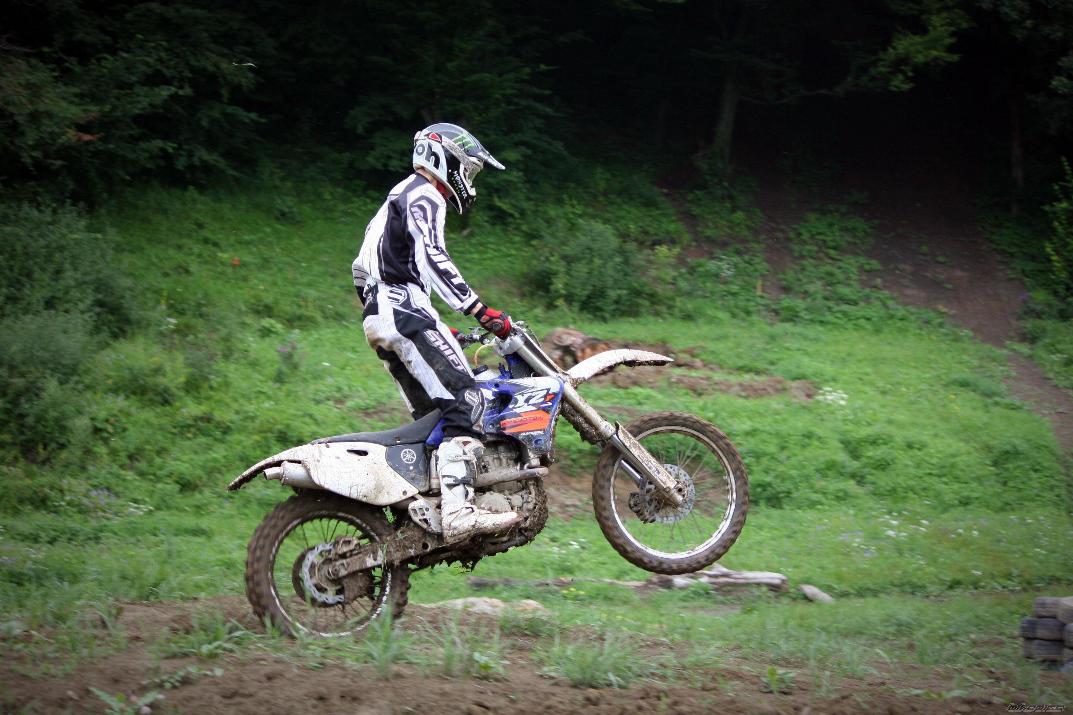 Photo 2305990