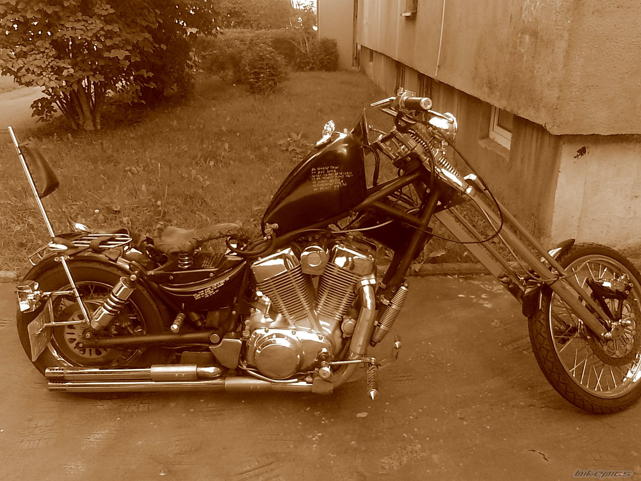 Photo 2306138