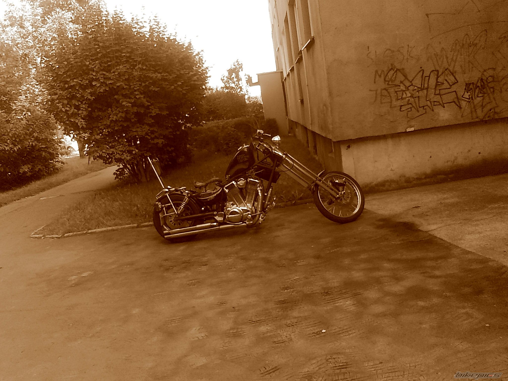 Photo 2306139