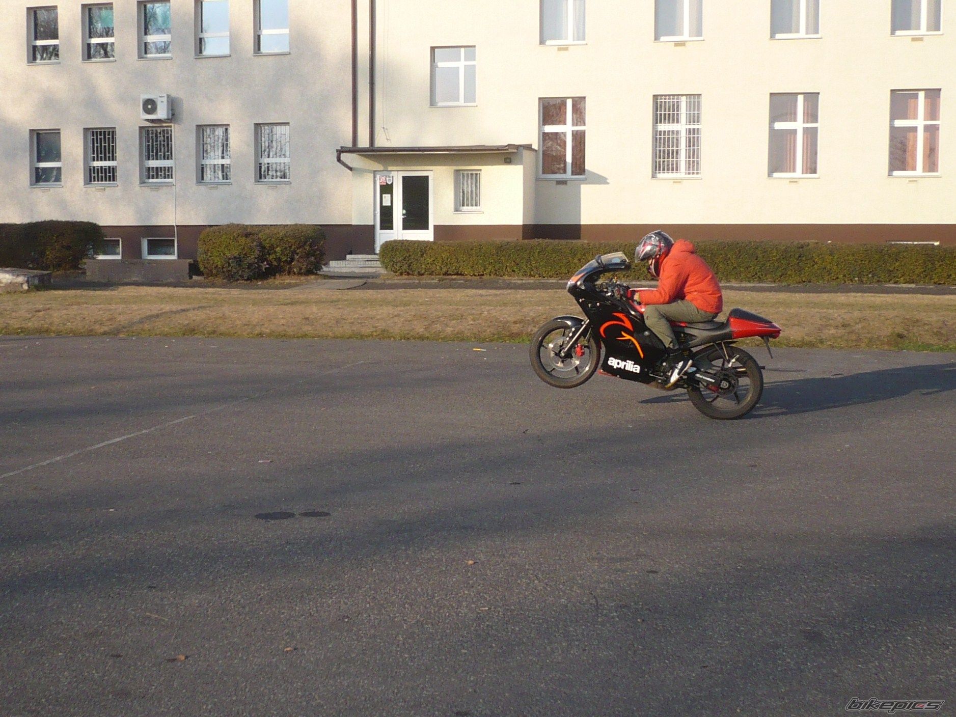 Photo 2306233