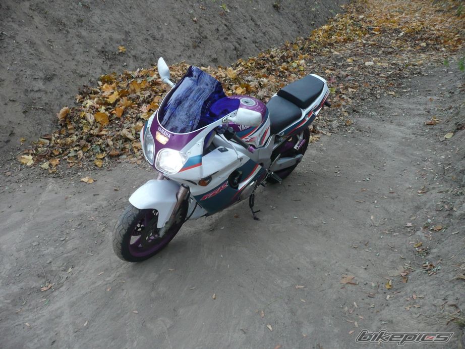 Photo 2306373