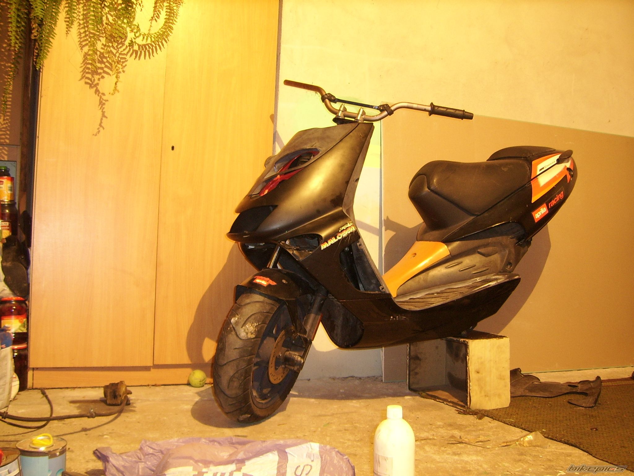 Photo 2306416