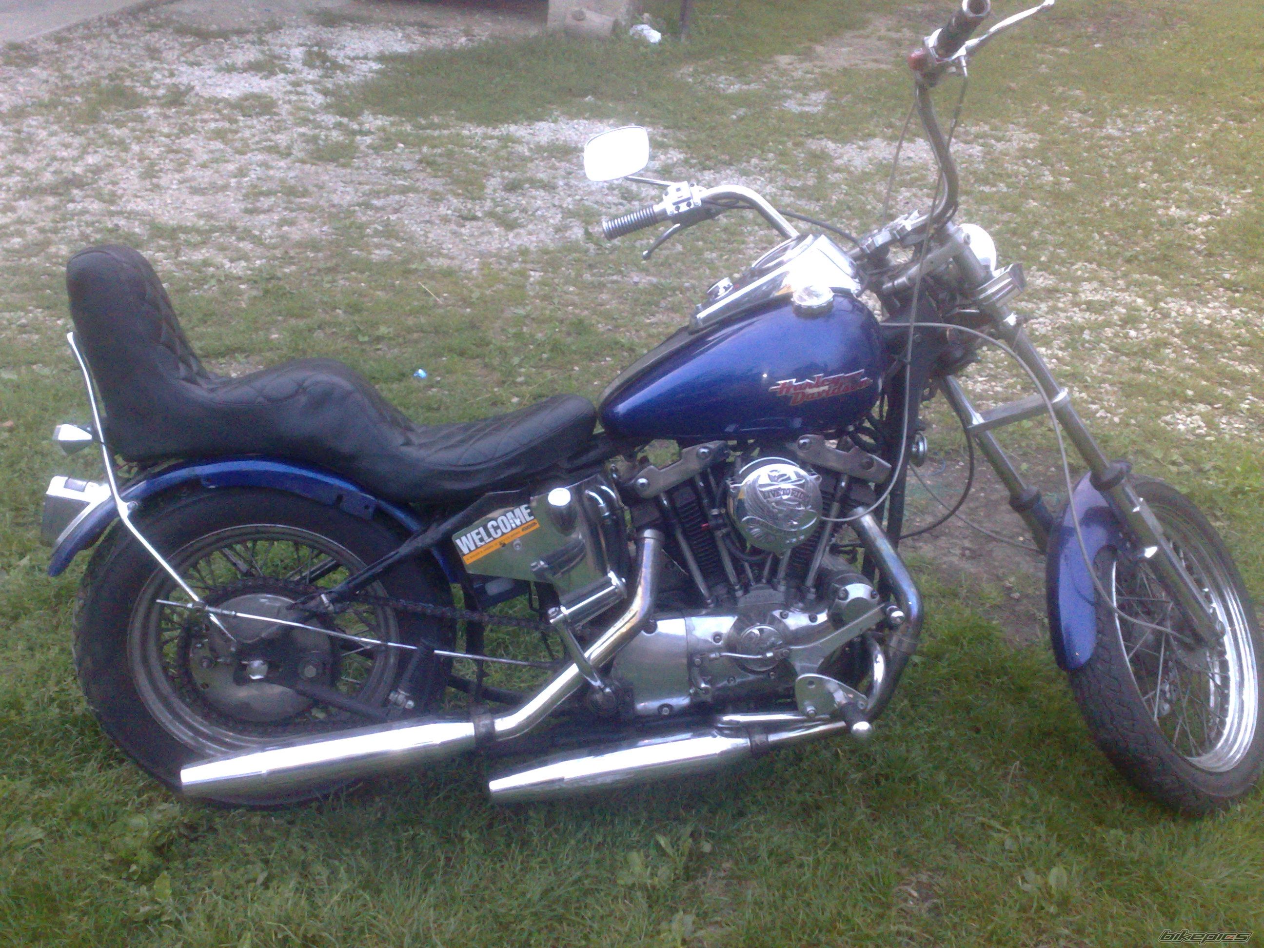 Photo 2306428