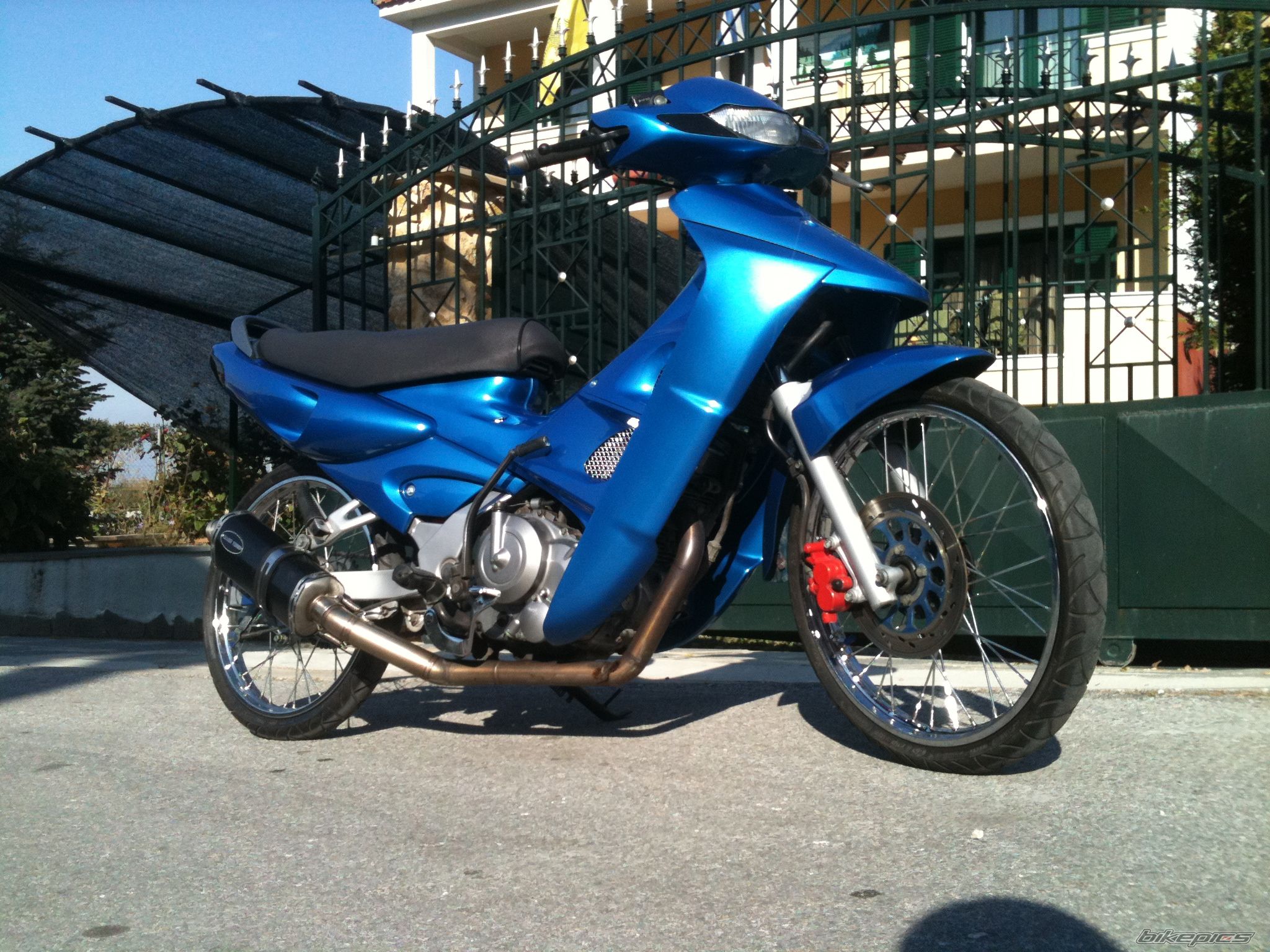 Photo 2306448
