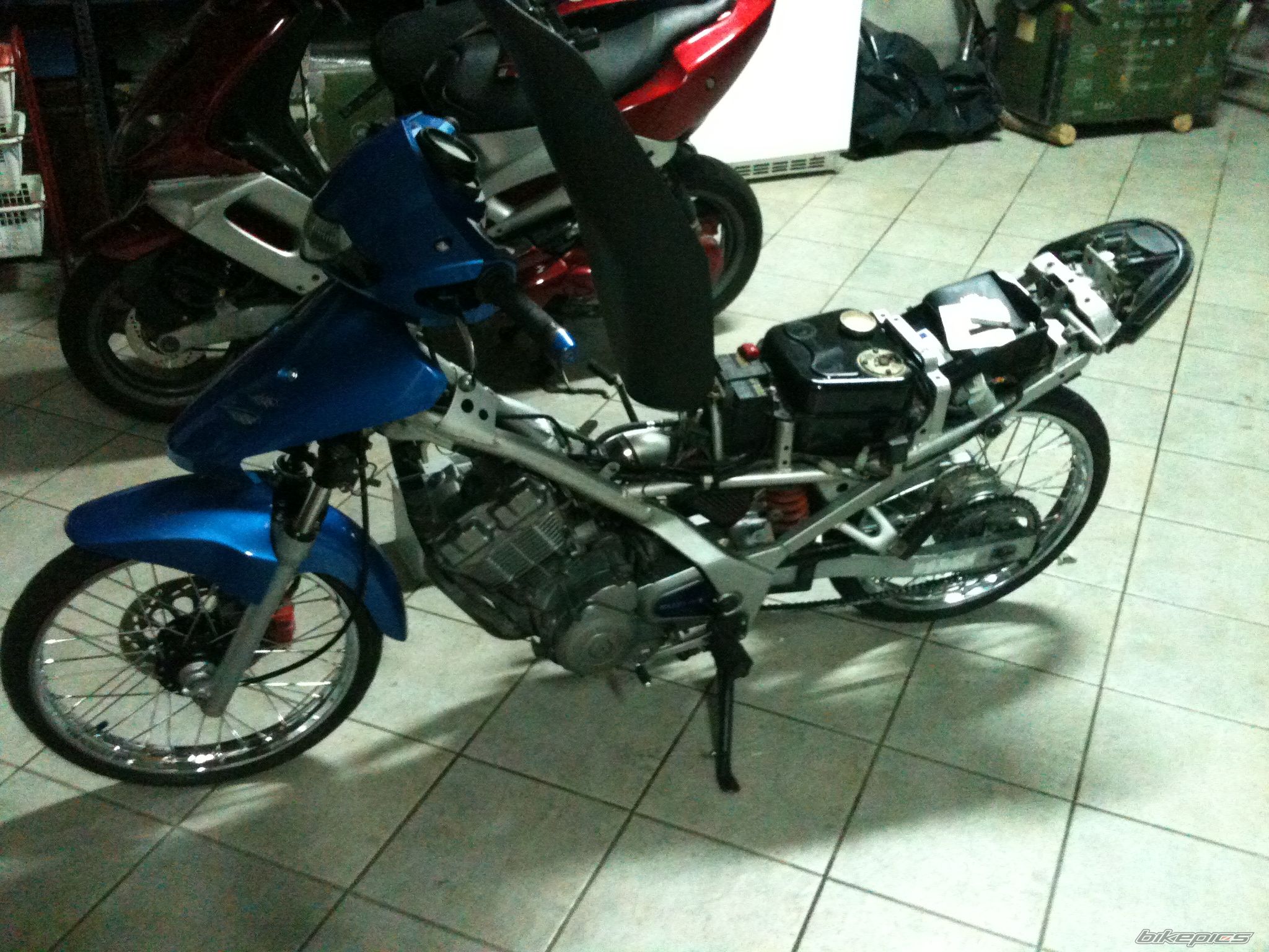 Photo 2306453