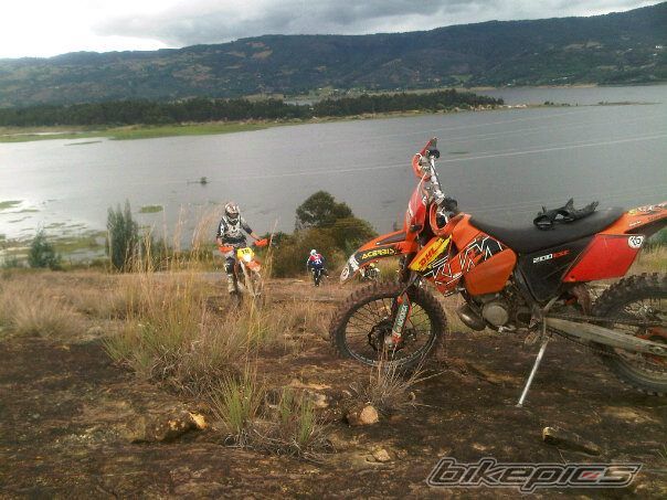 Photo 2306477